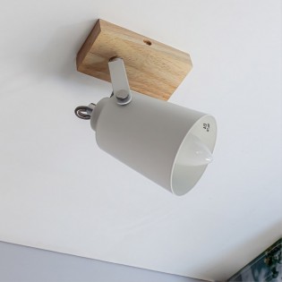 Foco de techo orientable Dera