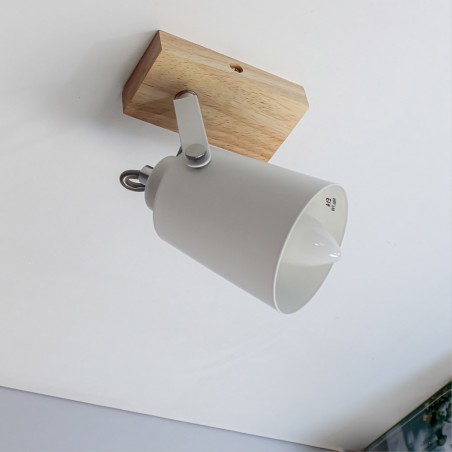 Foco de techo orientable Dera