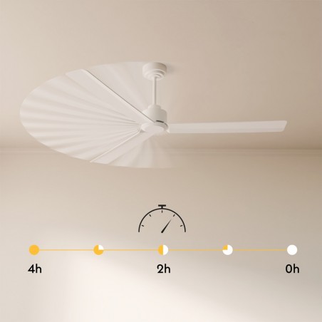 Ventilador de techo LED Nova XL CCT Dim (17W)
