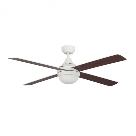 Ventilador de techo