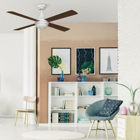 Ventilador de techo